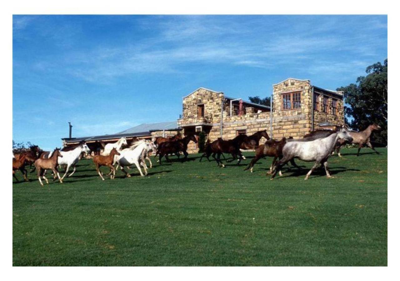 Moolmanshoek Private Game Reserve Fouriesburg Kültér fotó